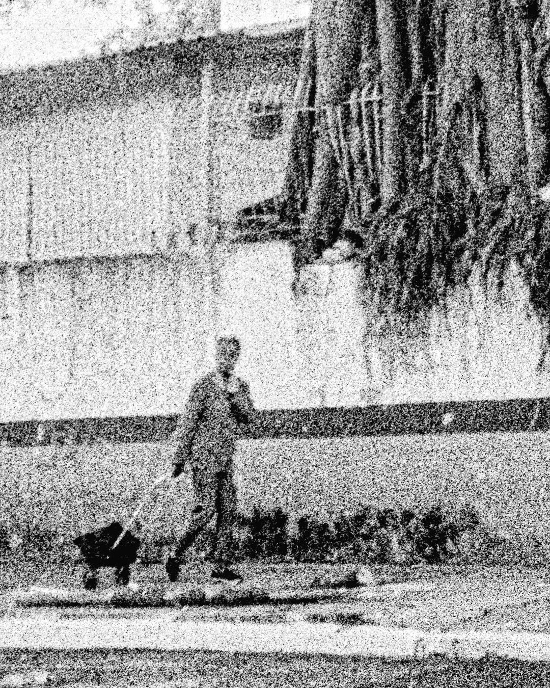 Um homem de terno andando arrastando um carrinho de carga, ao fundo raízes de uma árvore dominam um muro. A fotografia é PB com bastante ruído e desfoque.